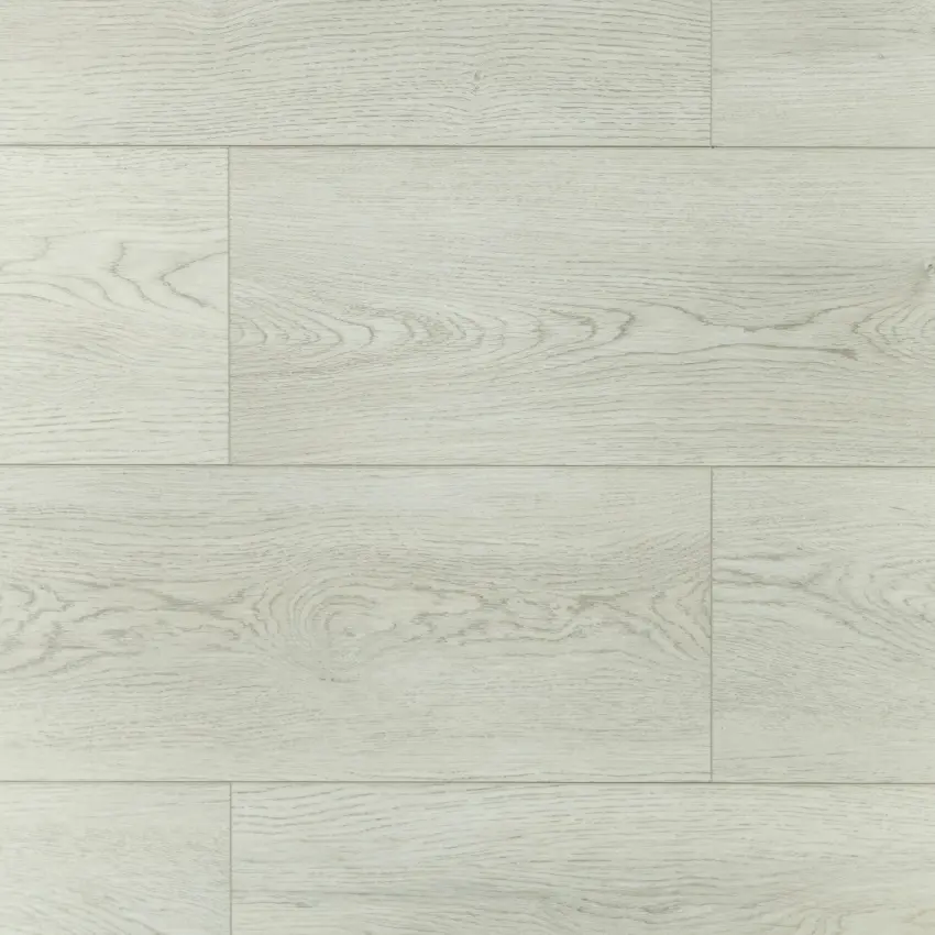 t4ooycwd3dr3dgoc2b7ausgc7m5a1p00