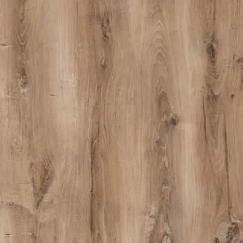 e4030d9ca1c28c255b6b14251e190275