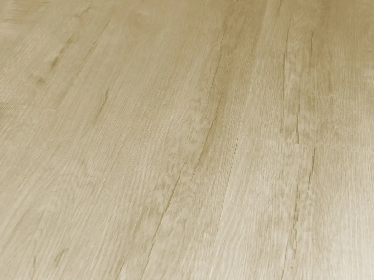 Q-10 Дуб Челси