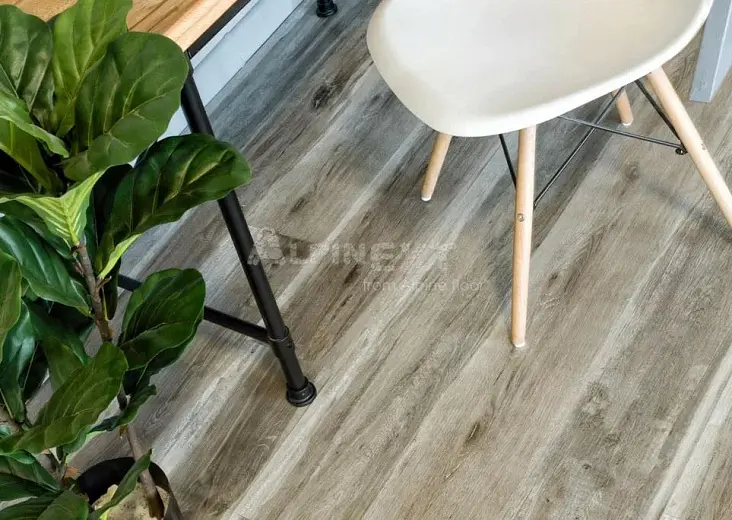 Виниловые полы Alpine Floor Easy Line Дуб Лесной ECO 3-18