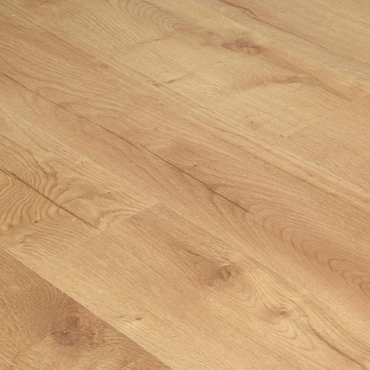 c6137d7385f65e45cf7bd696c303ce8a