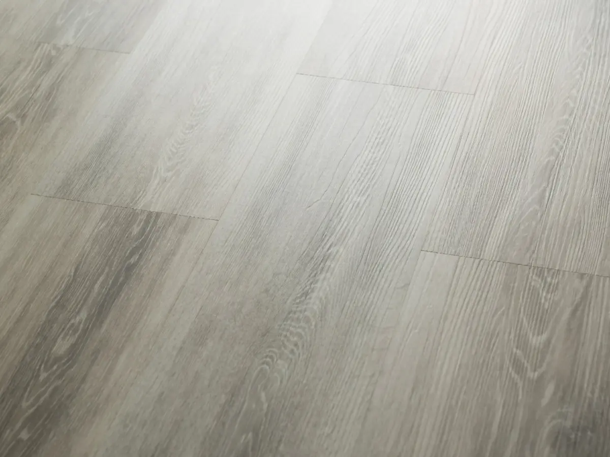 Q-13 Дуб Квинс