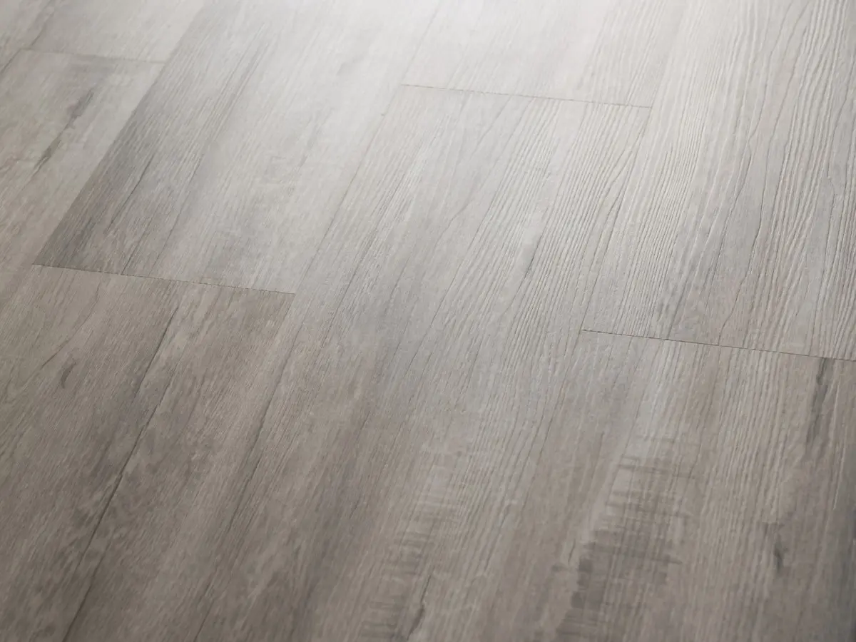 Q-15 Дуб Мэдисон