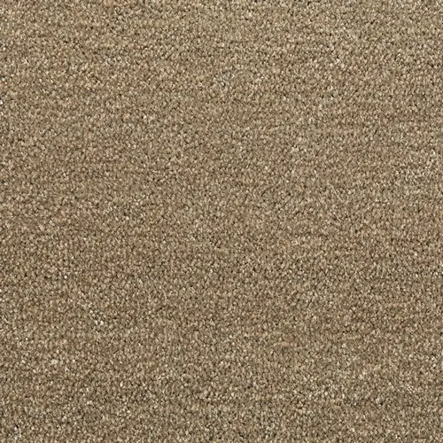 Ковровое покрытие Tarkett Драгон Термо 10431  (10431 -400)