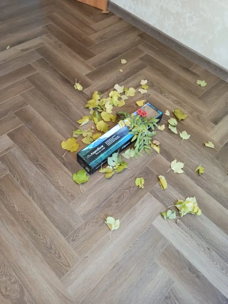 EL6-02 Кварц-виниловый ламинат SPC Элегант Дуб Кёльн 4V