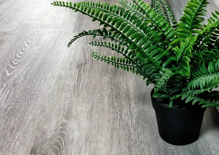 SPC ламинат Alpine Floor Classic Ясень Серый ECO 134-5