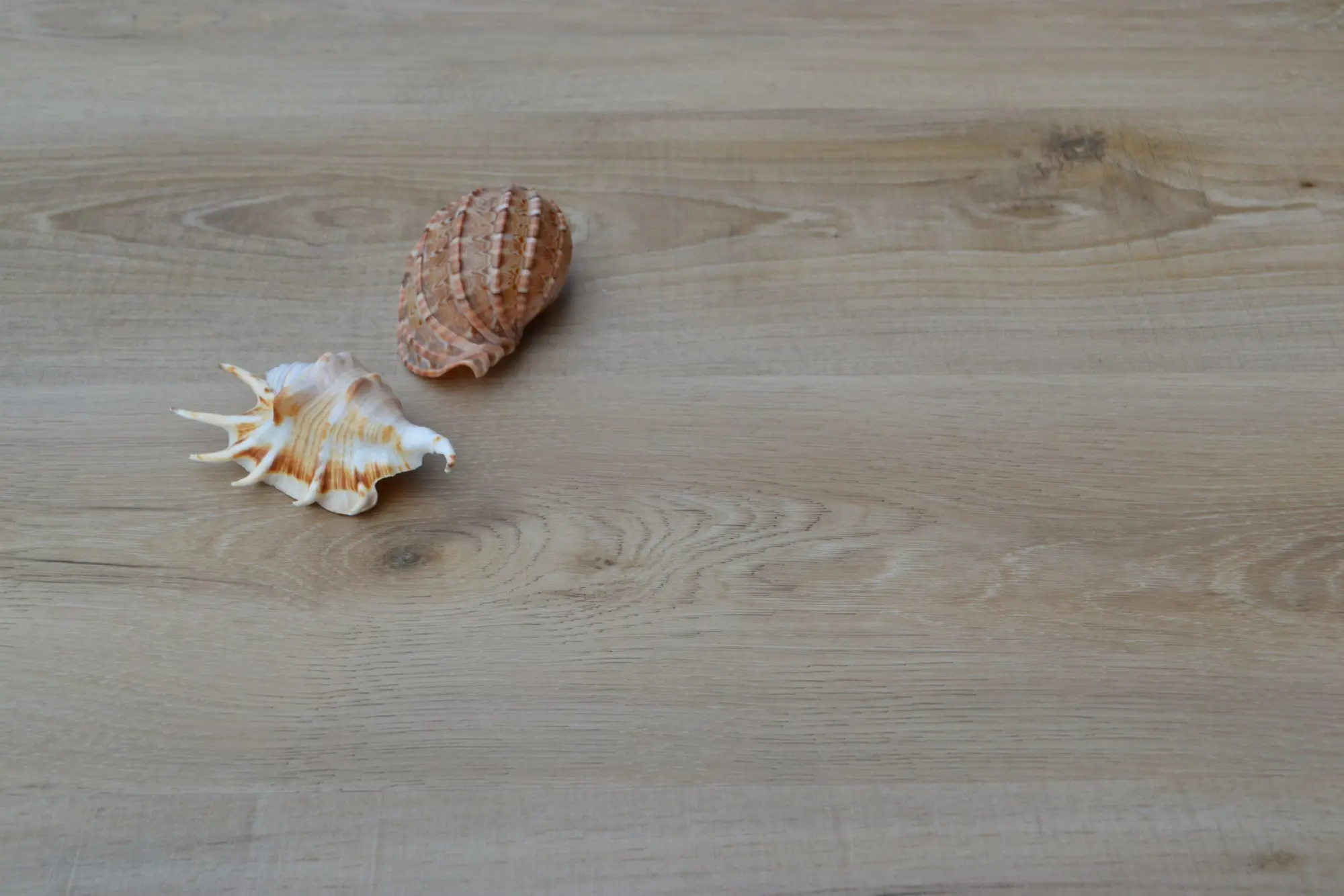 4ebca29bfd3fa74710d15ad2b0712504