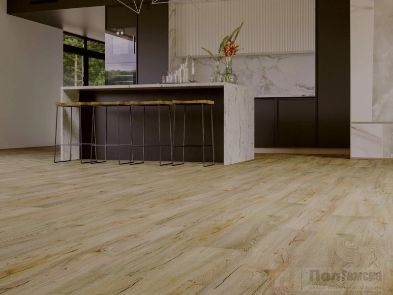 2f86f7f1f6c6a8dc955953bcb3d2fdb2