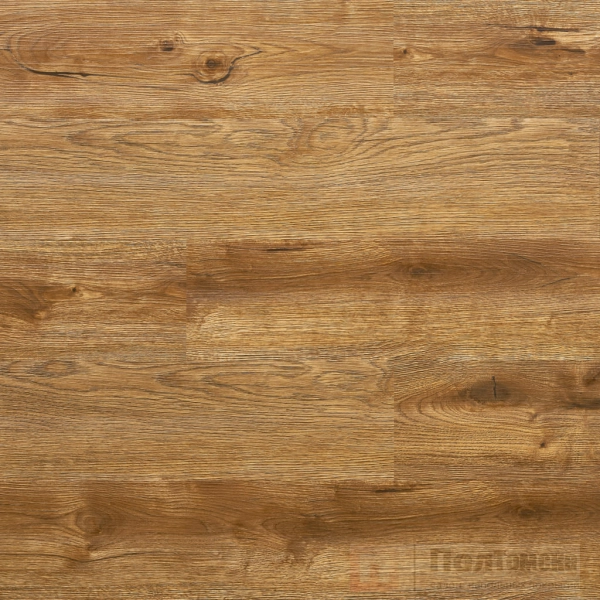 54qf2iva02gxmvar6jx8fq2sj9njr33u