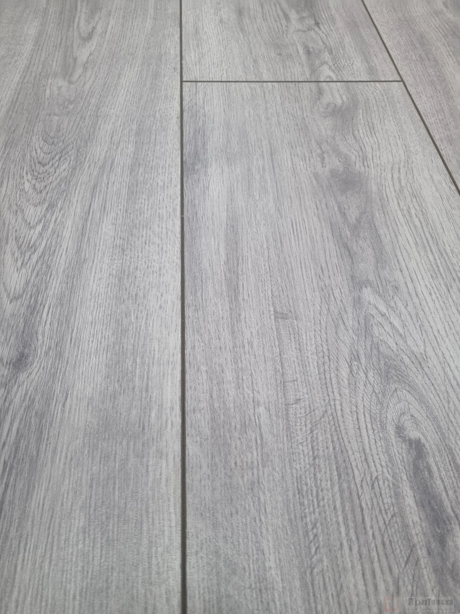 Ламинат Woodstyle Viva Дуб Тривенто серый