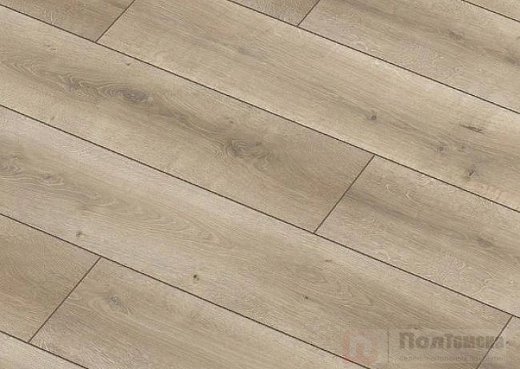 Ламинат Classen Pool Aqua WR Дуб Светло-серо Коричневый 52354