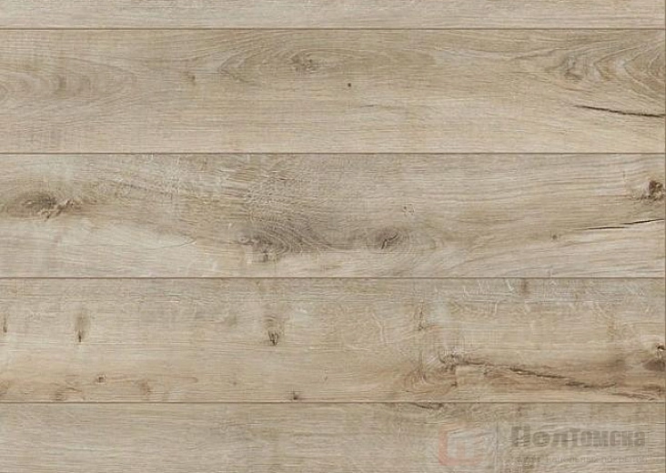 Ламинат Classen Pool Aqua WR Дуб Бежевый 52343