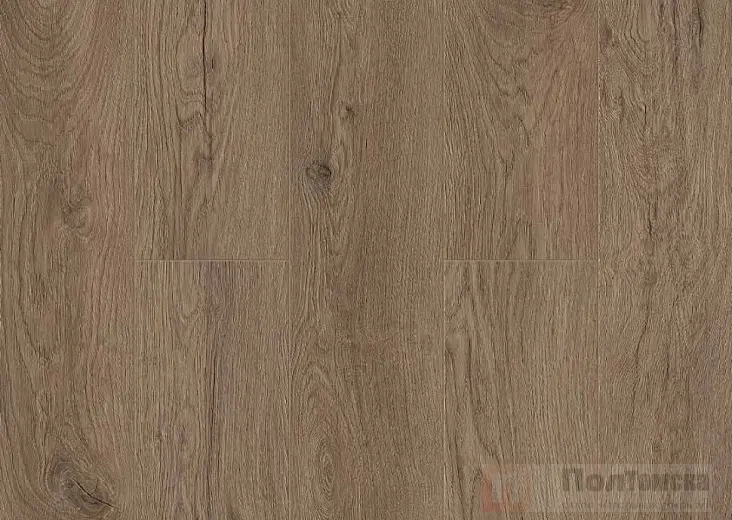 SPC ламинат Norland Sigrid Merian 1001-17